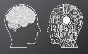 how are humans are similar to computers